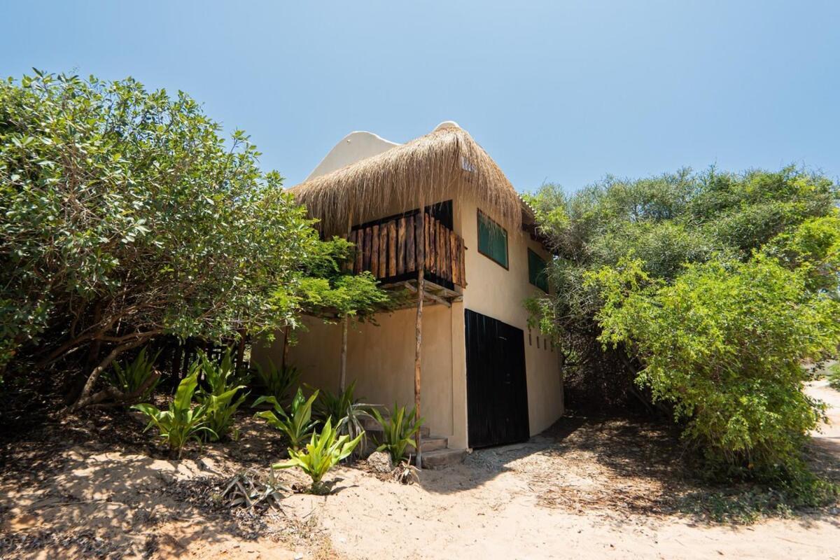 Tree House Cottage, Garden Views, Hot Water Praia do Praia do Tofo エクステリア 写真